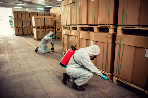 Best Termite Control Services  in Barrington Hls, IL