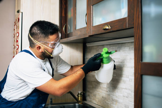 Best Mosquito Control Services  in Barrington Hls, IL