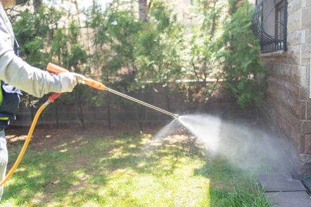 Best Best Pest Control Companies  in Barrington Hls, IL