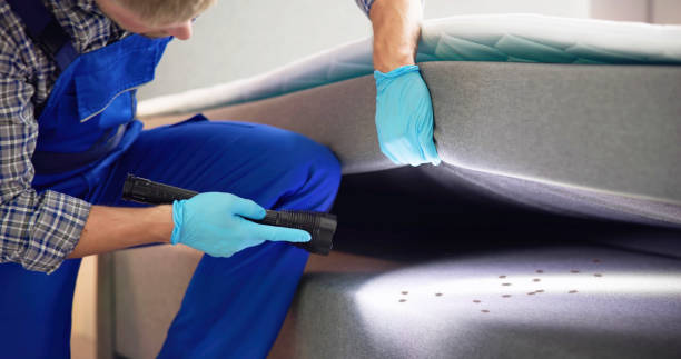 Reliable Barrington Hills, IL Pest Control Solutions