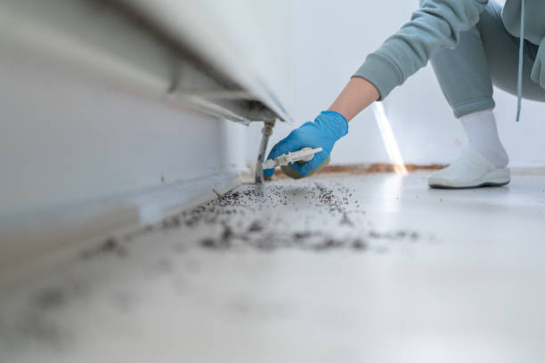 Best Bed Bug Extermination  in Barrington Hls, IL