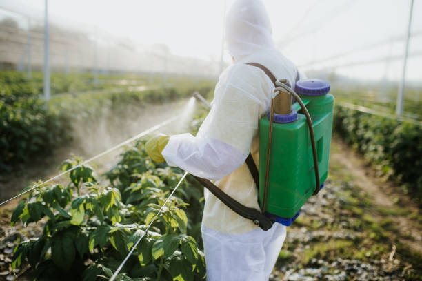 Wildlife Control Services in Barrington Hills, IL